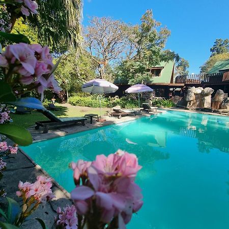 Tsitsikamma alojamiento y spa Stormsrivier Exterior foto